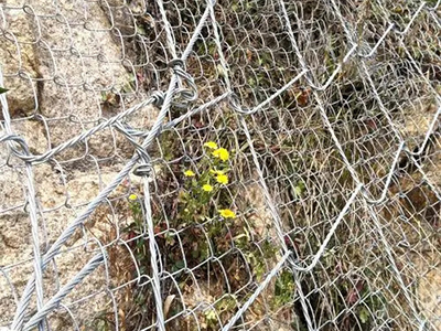 邊坡防護網案例圖片7