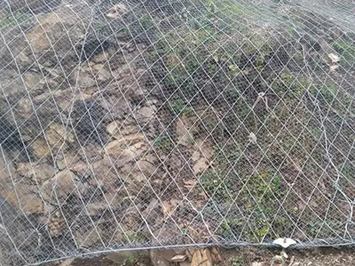 邊坡防護網案例圖片8